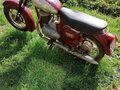 1963 Jawa 250, красный, 185000 рублей - вид 2