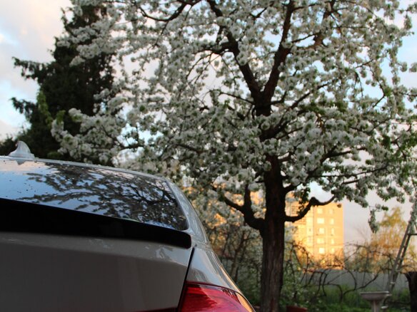 2017 BMW 3 серии 318i VI (F3x) Рестайлинг, белый, 1850000 рублей - вид 38