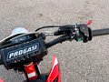 2024 Progasi Super Max 300, красный, 159000 рублей - вид 6