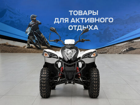 2026 Другие Мотовездеходы (другие), белый, 164600 рублей, вид 3