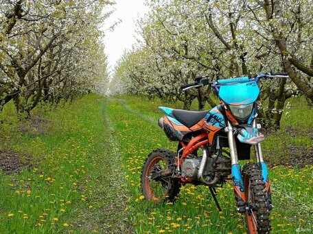 2023 Kayo Evolution YX140EM, чёрный, 85500 рублей, вид 1