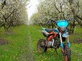 2023 Kayo Evolution YX140EM, чёрный, 85500 рублей