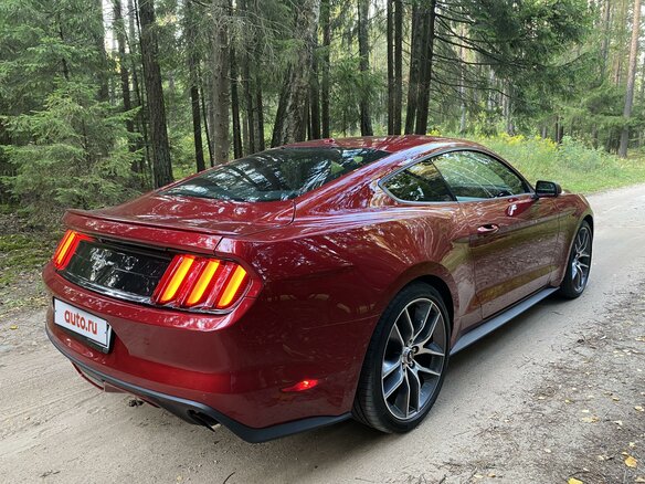 2016 Ford Mustang VI, красный - вид 22