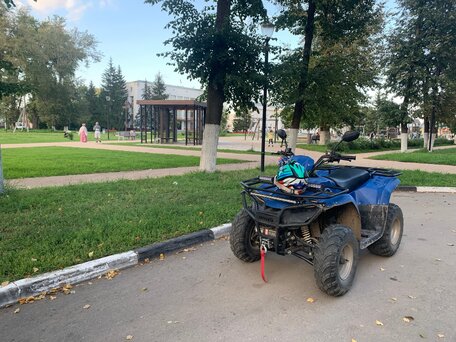 2023 Irbis ATV 200U, синий, 200000 рублей, вид 3