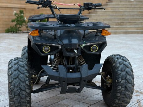 2021 Tiger Extra 175, чёрный, 100000 рублей, вид 5