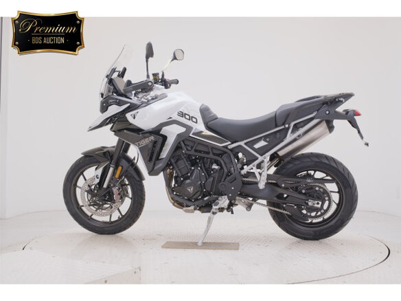 2024 Triumph Tiger 900, белый, 1290000 рублей - вид 1