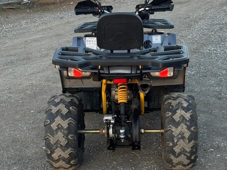 2022 Motoland Wild Track 200 X Pro, чёрный, 190000 рублей, вид 3