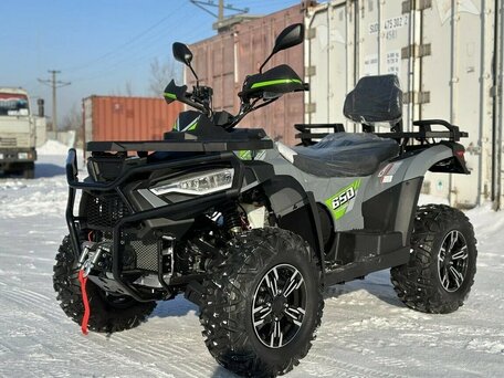 2025 Linhai ATV650L, серый, 786300 рублей, вид 5