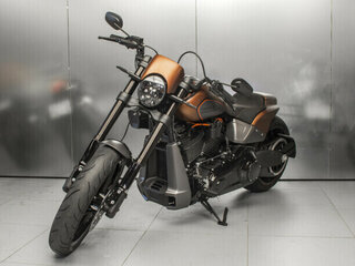 2019 Harley-Davidson FXDR 114, коричневый, 1570739 рублей, вид 5