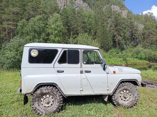 2003 УАЗ 31514, серый, 350000 рублей, вид 4