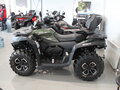 2024 CFMoto CFORCE 600 Advanced EPS, зелёный, 919920 рублей - вид 1
