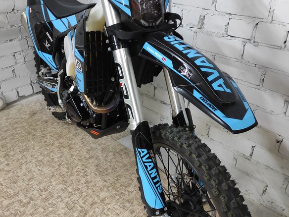 2025 Avantis Enduro 300 Pro/EFI, синий, 220000 рублей - вид 10