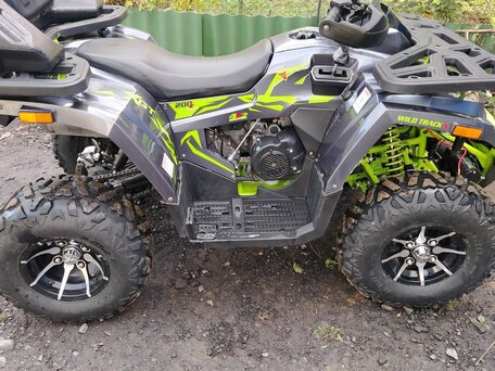 2023 Motoland Wild Track 200 X Pro, серый, 180000 рублей, вид 4