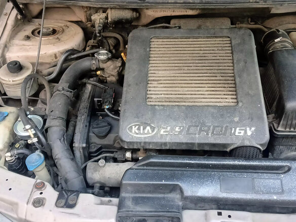 2004 Kia Carnival I Рестайлинг, бежевый, 620000 рублей - вид 18