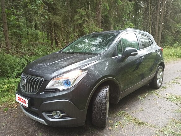 2015 Buick Encore I, серый, 1210000 рублей - вид 14