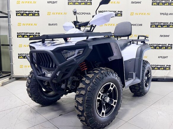 2025 Bashan Explorer 320, белый, 549000 рублей - вид 11