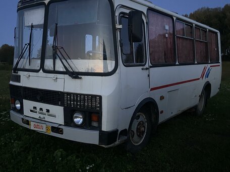 2006 ПАЗ 32053-20, белый, 250000 рублей, вид 5