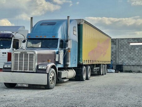 2000 Freightliner FLD, голубой, 2500000 рублей, вид 2