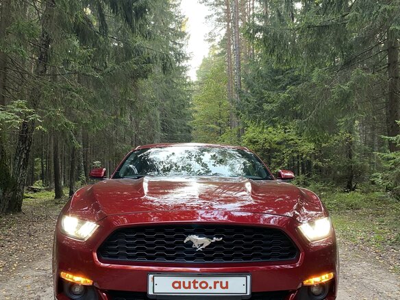 2016 Ford Mustang VI, красный - вид 18
