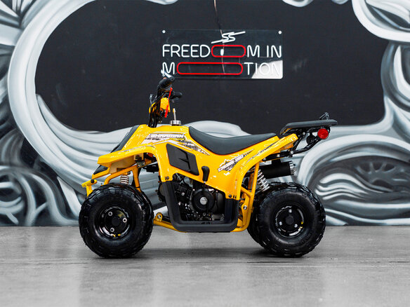 2025 Sharmax Cross, чёрный, 79900 рублей - вид 3