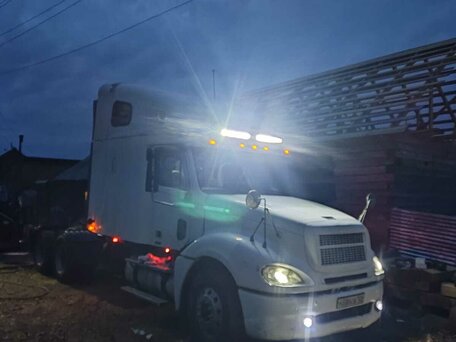 2003 Freightliner Columbia, белый, 2500000 рублей, вид 2