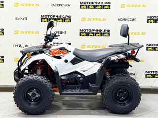 2025 Kayo AU300, белый, 399990 рублей, вид 2
