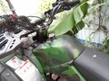 2024 Stels ATV-300, зелёный, 288888 рублей - вид 6