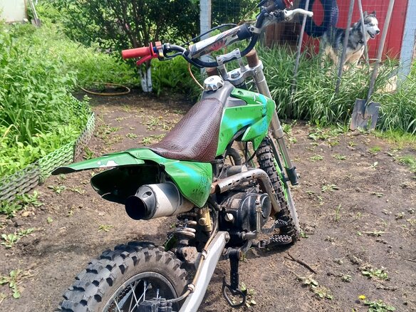 2022 BSE EX 125, зелёный, 50000 рублей - вид 4