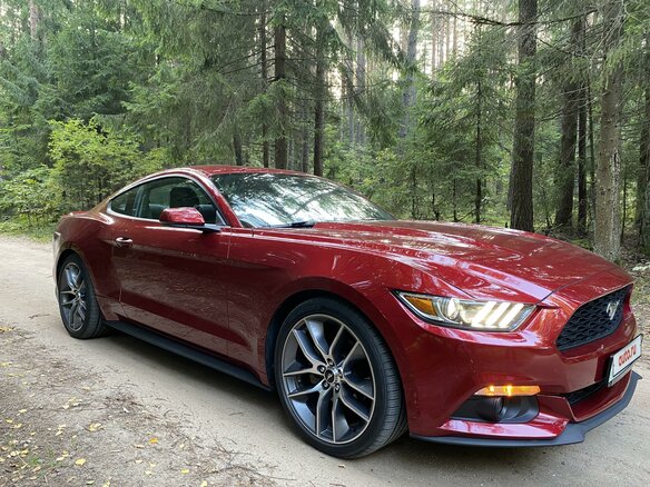 2016 Ford Mustang VI, красный - вид 28