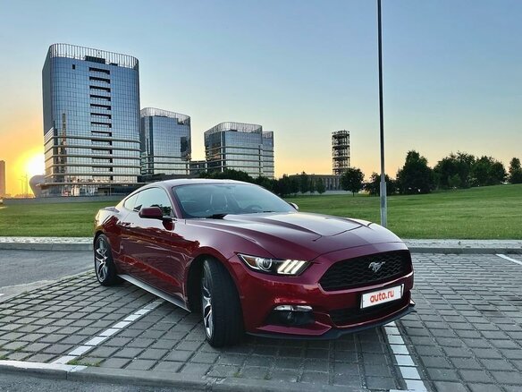 2016 Ford Mustang VI, красный - вид 14