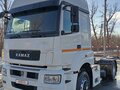 2018 КамАЗ 5490 NEO, белый, 2300000 рублей - вид 6