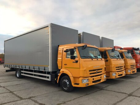 2024 КамАЗ 4308, жёлтый, 5590000 рублей, вид 1