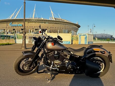 2017 Harley-Davidson Softail Slim, серый, 1800000 рублей, вид 5