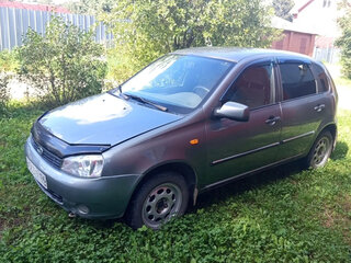 2010 Lada (ВАЗ) Kalina I, серый, 220000 рублей, вид 1