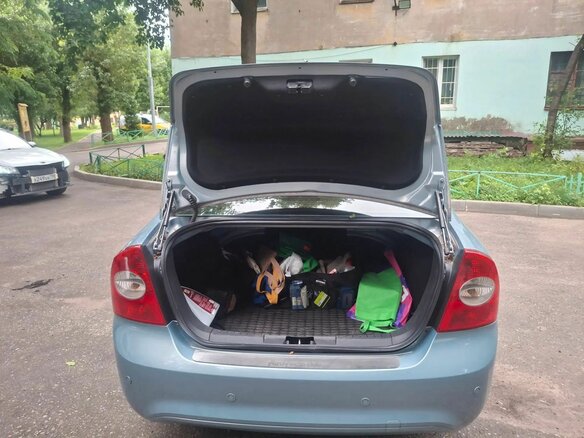 2008 Ford Focus II, серый - вид 13