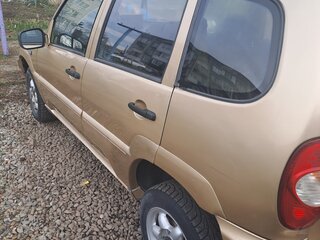 2004 Chevrolet Niva I, золотистый, 370000 рублей, вид 4