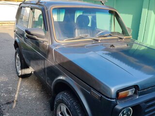 1996 Lada (ВАЗ) 2121 (4x4) I Рестайлинг, серый, 330000 рублей, вид 2