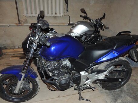 2006 Honda CBF 600, синий, 595588 рублей, вид 5