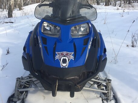 2009 Arctic Cat Bearcat, синий, 650000 рублей, вид 2