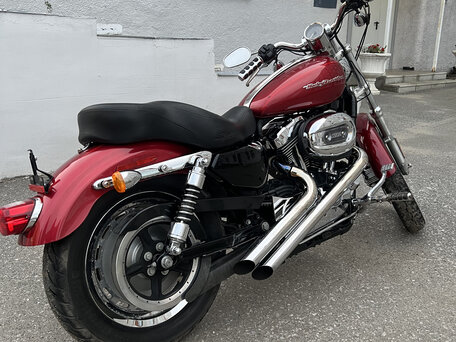 2005 Harley-Davidson Sportster 1200, красный, 520000 рублей, вид 3
