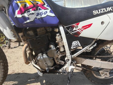 2003 Suzuki DR 250, белый, 250000 рублей, вид 3
