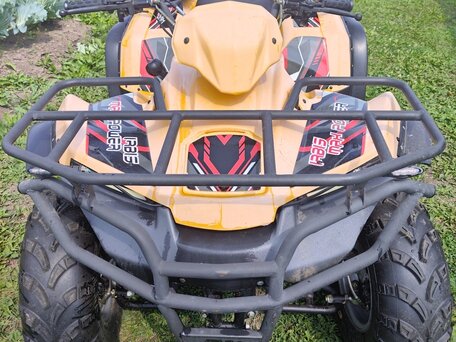 2021 Irbis ATV 150U, золотистый, 250000 рублей, вид 2