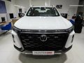 2025 Changan Hunter Plus, белый - вид 5