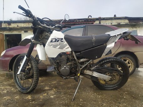 2001 Suzuki DR 250, белый, 130000 рублей, вид 1