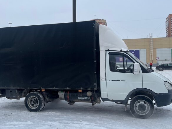 2006 ГАЗ ГАЗель (3302), белый, 1100000 рублей - вид 6