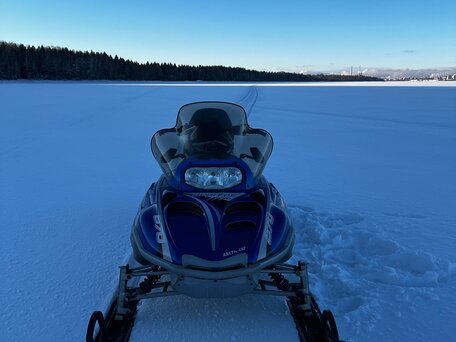 2005 Arctic Cat Bearcat, синий, 650000 рублей, вид 3