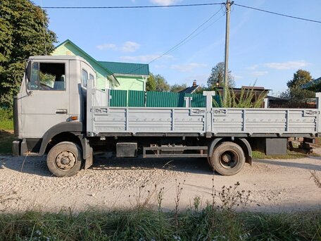 2003 МАЗ 4370, серебристый, 485000 рублей, вид 4