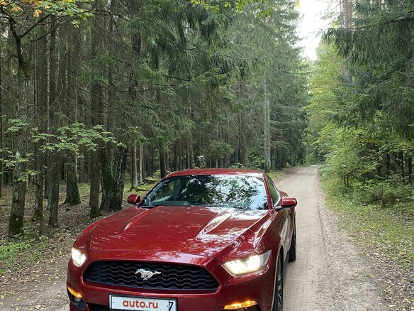 2016 Ford Mustang VI, красный - вид 23