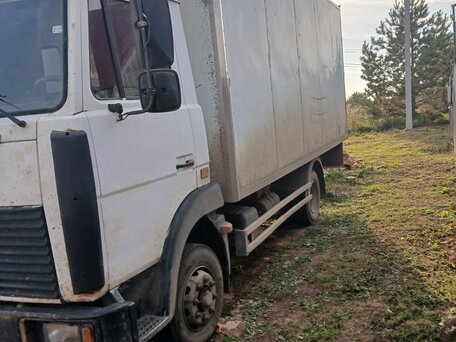 2005 МАЗ 4370, белый, 550000 рублей, вид 1