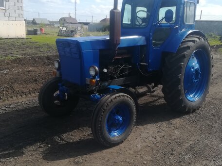 1987 ЛТЗ Т-40АМ, синий, 350000 рублей, вид 1